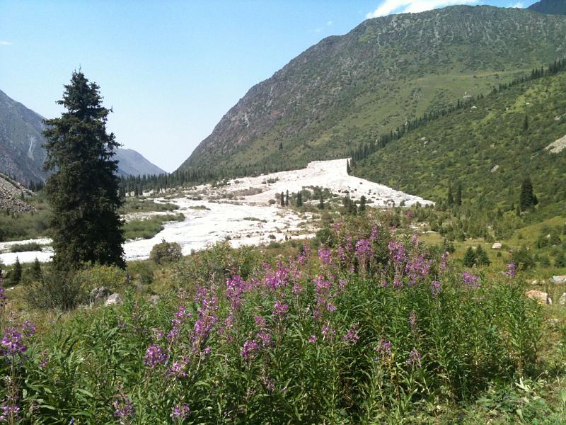 20110723_Ala-Arca_Nationalpark 021.JPG